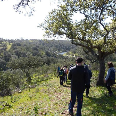 Agroturismo Xistos Cerca Bagian luar foto