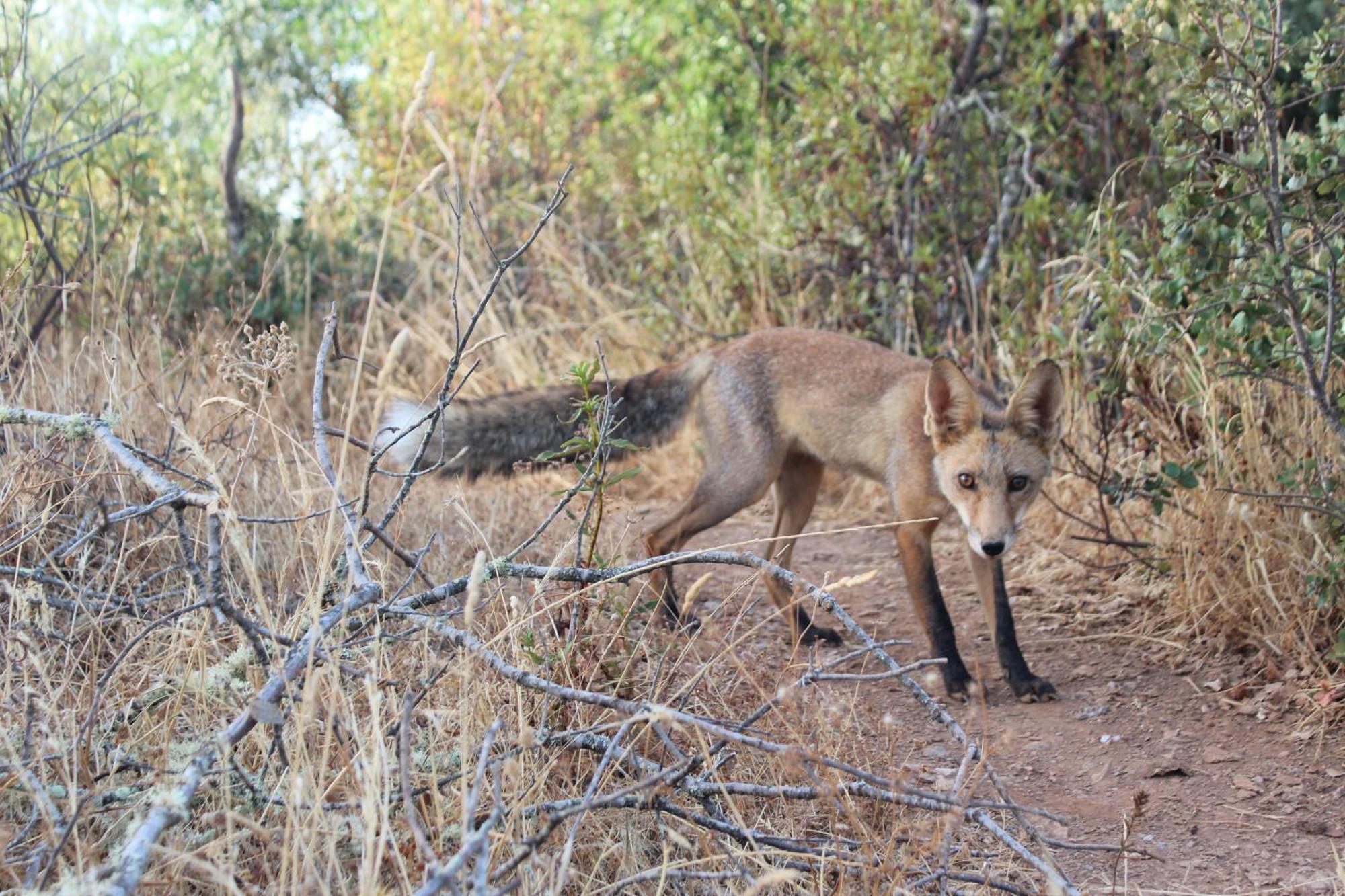 Agroturismo Xistos Cerca Bagian luar foto