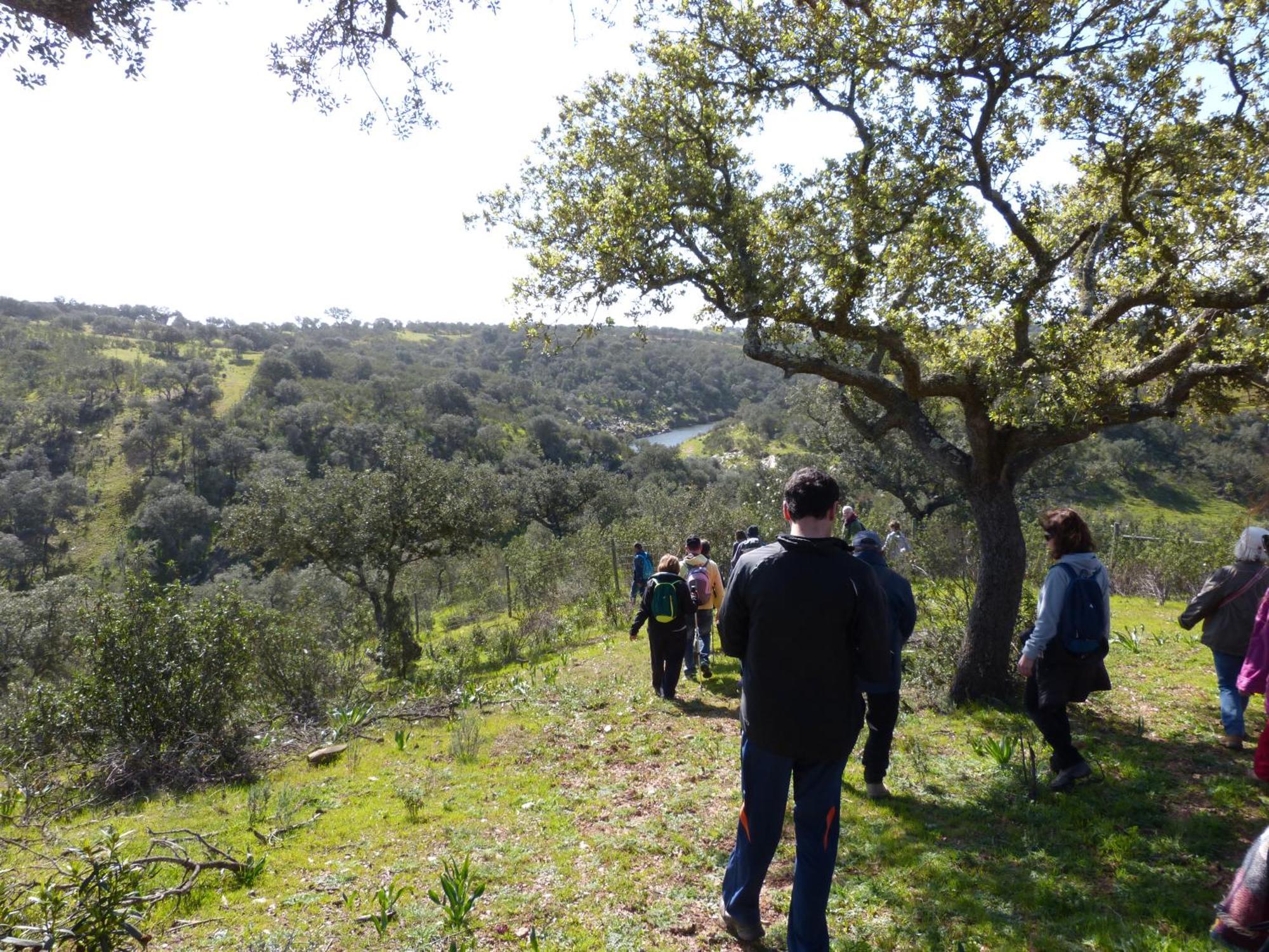 Agroturismo Xistos Cerca Bagian luar foto