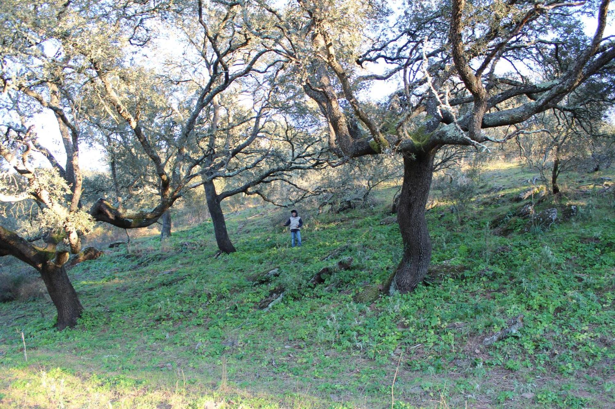 Agroturismo Xistos Cerca Bagian luar foto