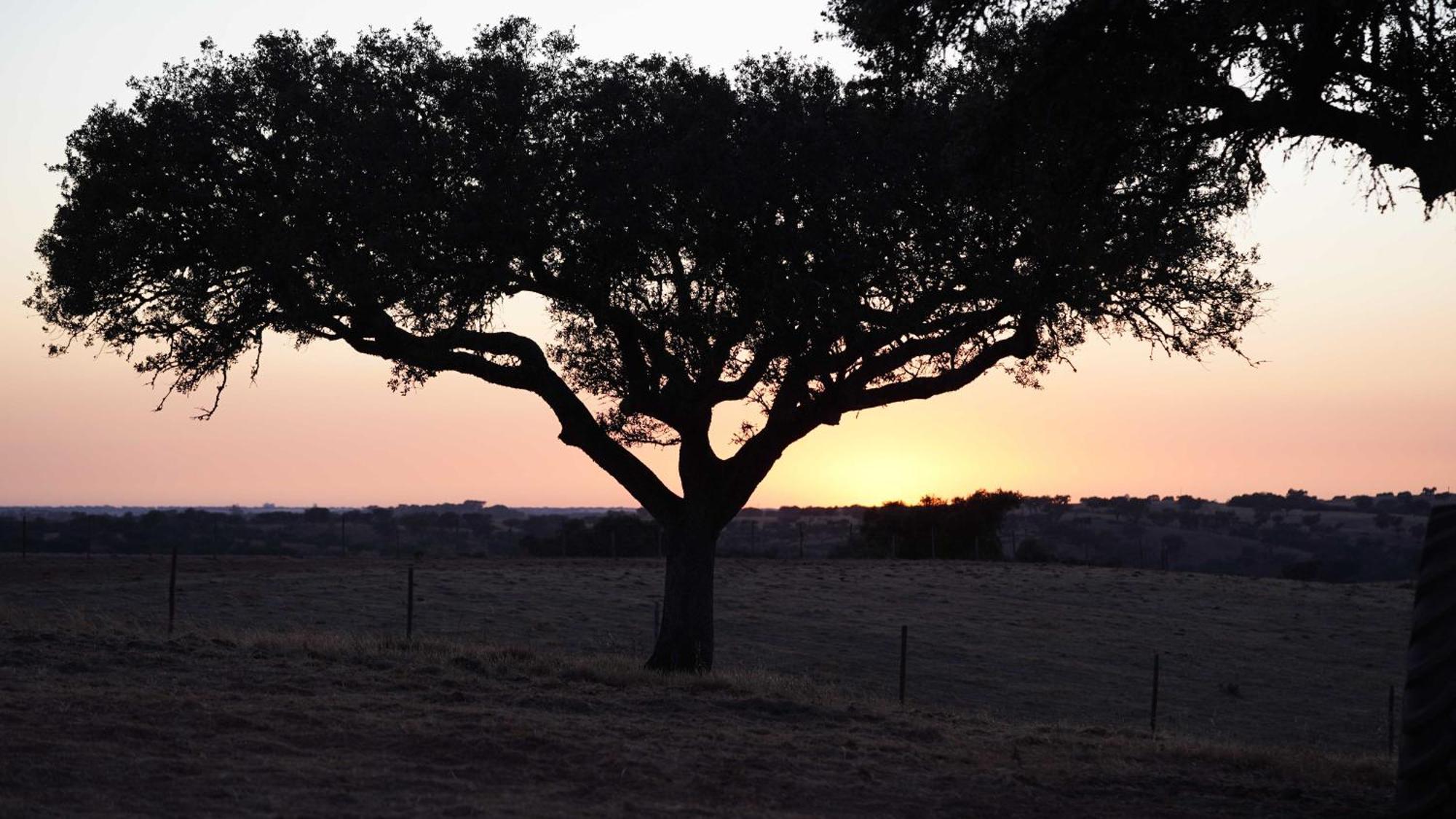Agroturismo Xistos Cerca Bagian luar foto