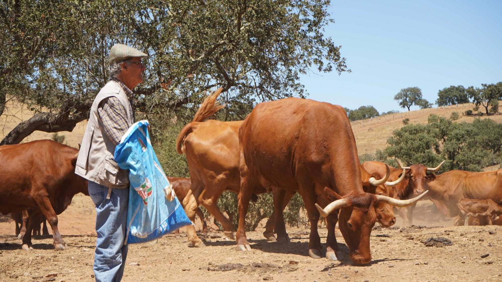 Agroturismo Xistos Cerca Bagian luar foto