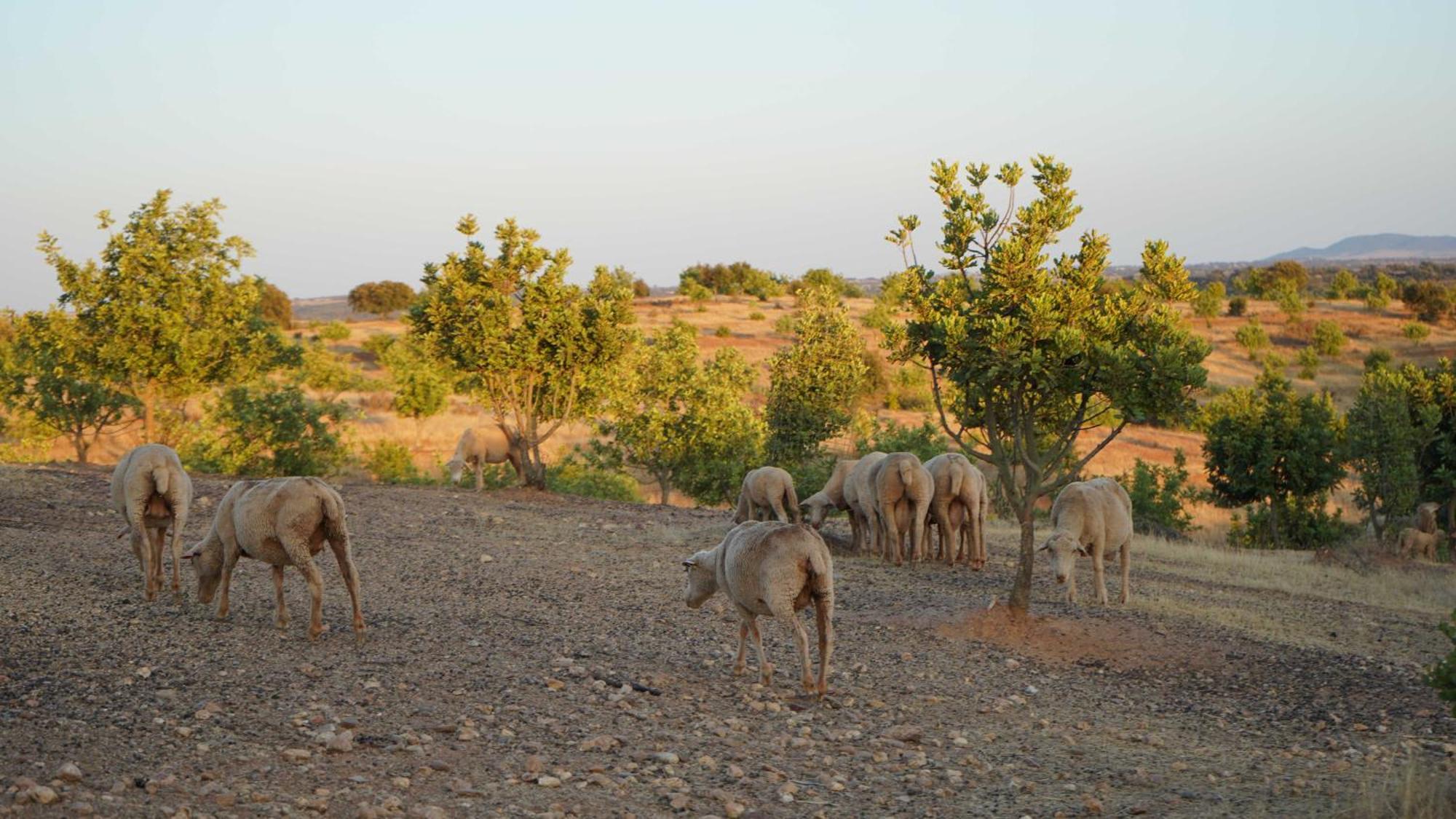 Agroturismo Xistos Cerca Bagian luar foto