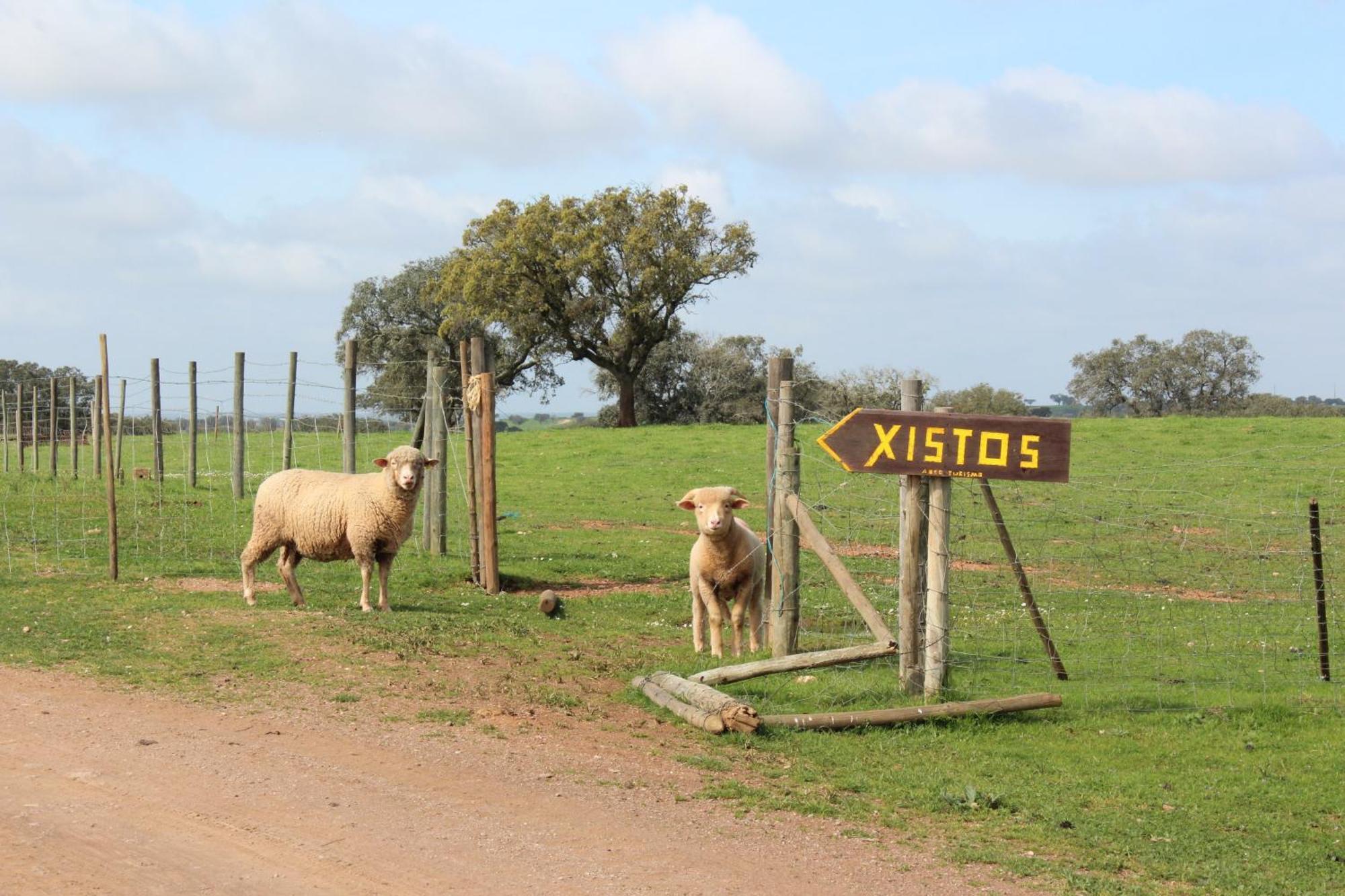 Agroturismo Xistos Cerca Bagian luar foto