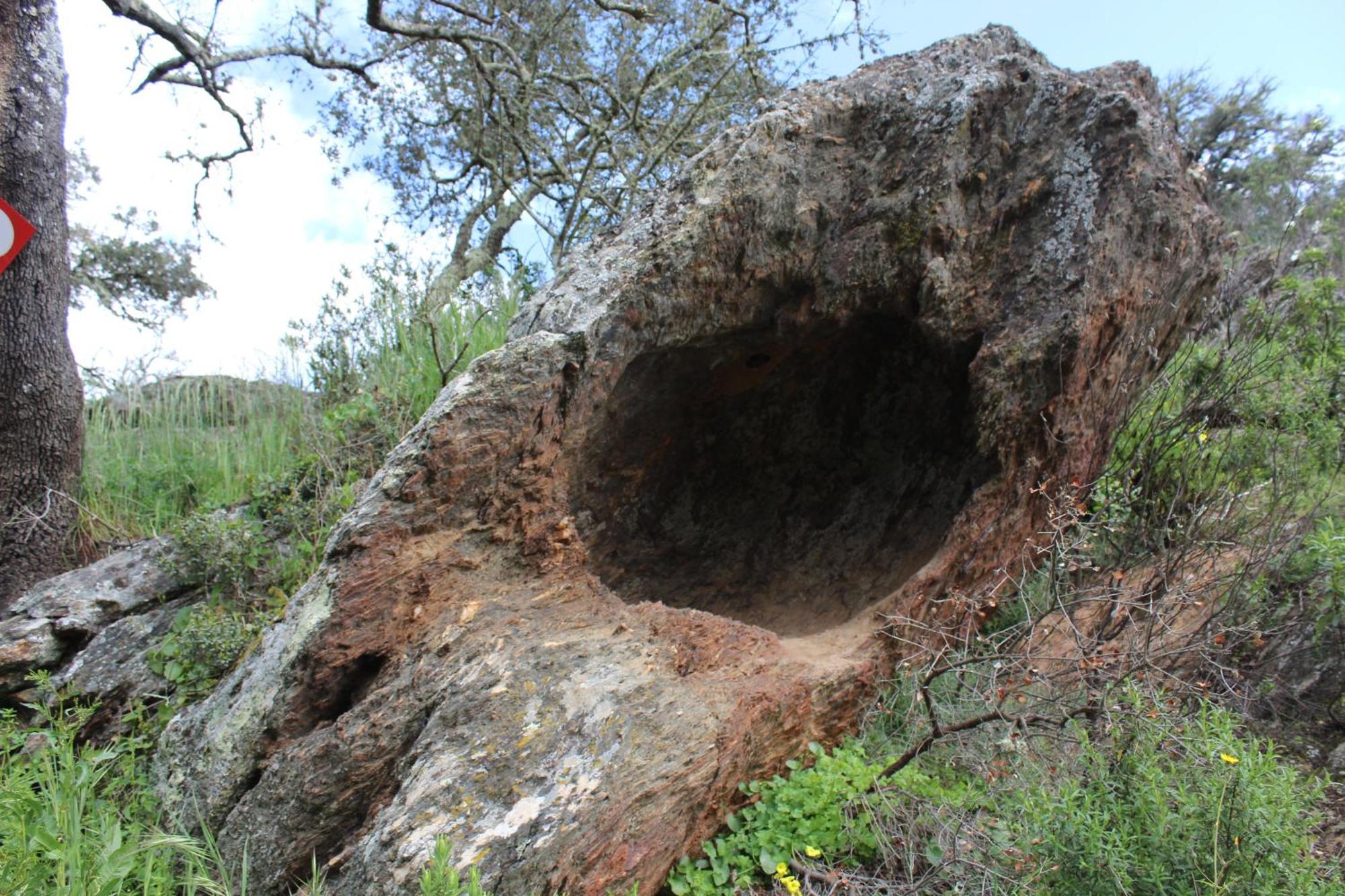 Agroturismo Xistos Cerca Bagian luar foto