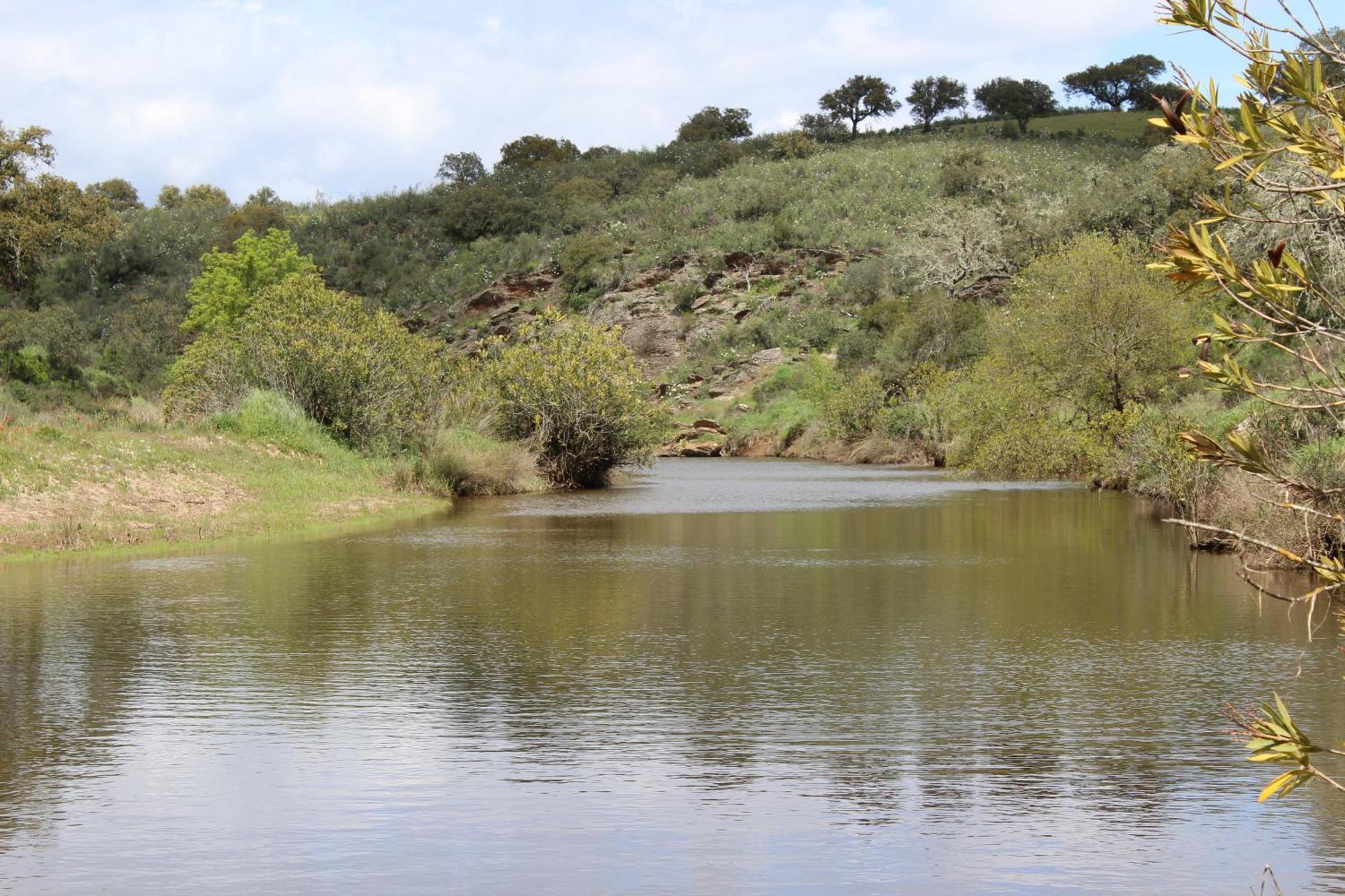 Agroturismo Xistos Cerca Bagian luar foto